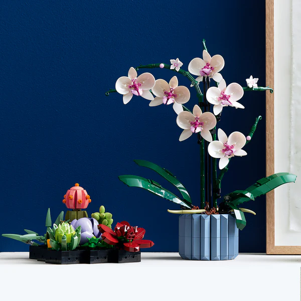 LEGO Flower Gifts Botanical Collection sets displayed together (LEGO Orchid and LEGO Succulents)