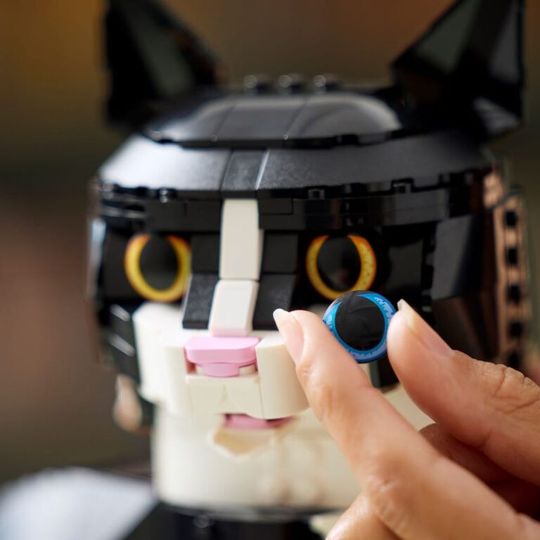 LEGO Tuxedo Cat 21349 Review - Tuxedo Cat Eyes by LEGO®