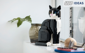 Read more about the article LEGO Tuxedo Cat 21349 Review — A Brick Built Cat That Stole My Heart